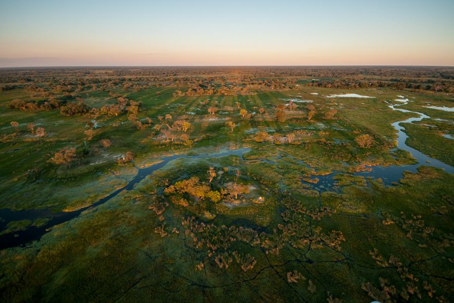 Okavango Delta Helicopter Safari Marc Stickler