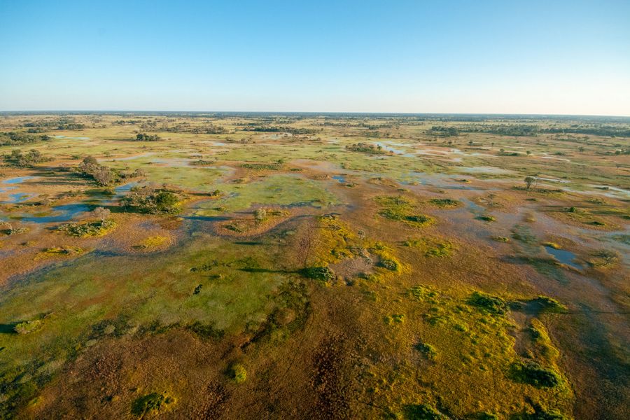 Okavango Delta Helicopter Safari Marc Stickler
