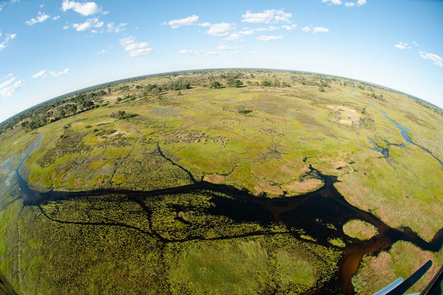 Okavango Delta Helicopter Safari Marc Stickler
