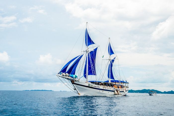 siren fleet palau marc stickler