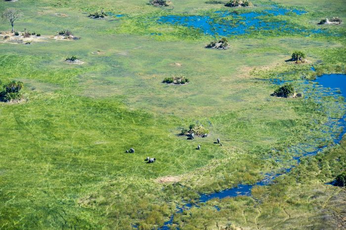 Wildlife Okavango Delta Botswana Photography Marc Stickler 