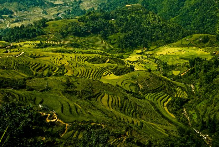 Landscape Photography Marc Stickler Vietnam Nature