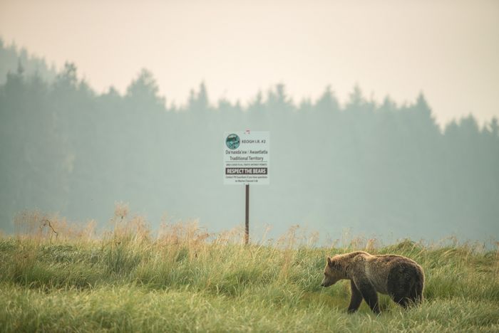 Conservation Photography Nature Marc Stickler