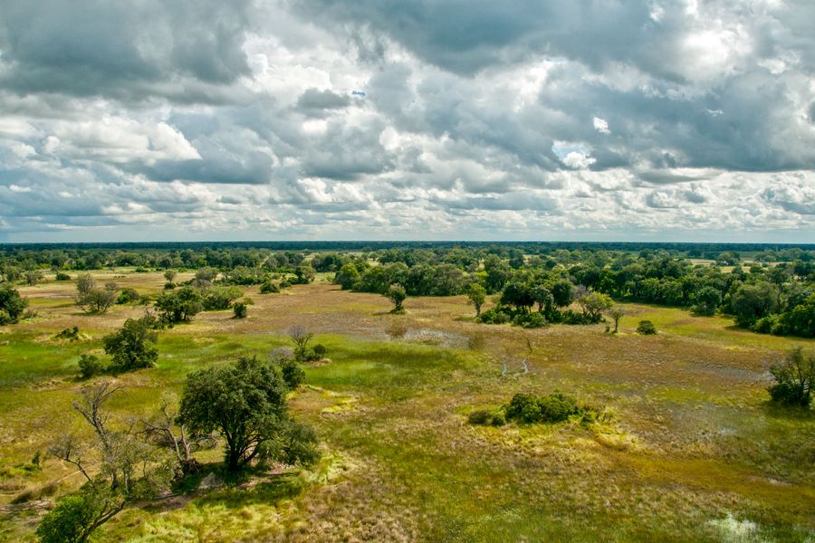 Okavango Delta Helicopter Safari Marc Stickler