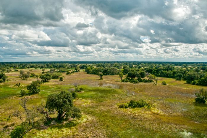 Okavango Delta Helicopter Safari Marc Stickler