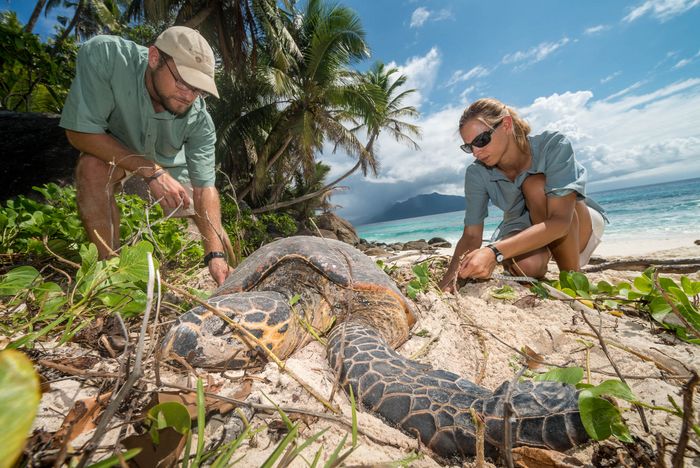 Conservation Photography Nature Marc Stickler