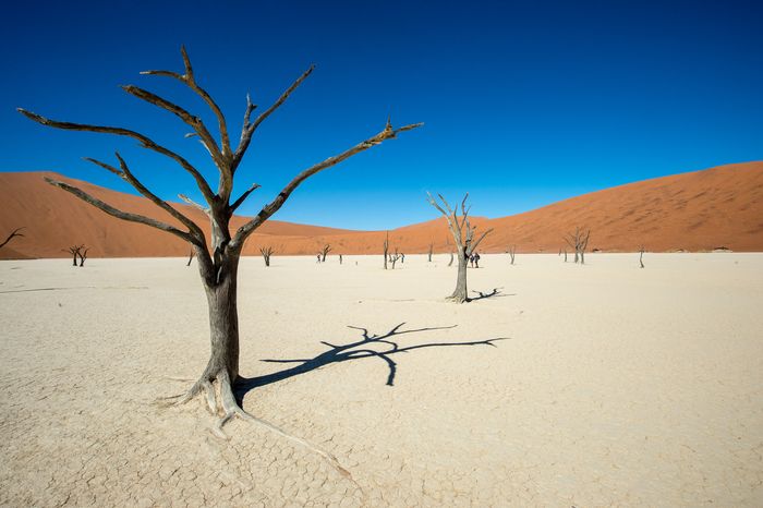 Landscape Photography Marc Stickler Nature Namibia