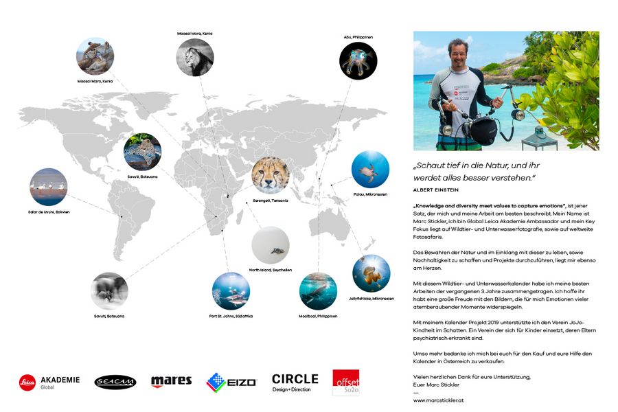calendar, wildlife, support, nature