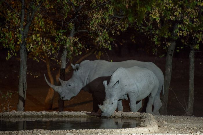 Conservation Photography Nature Marc Stickler