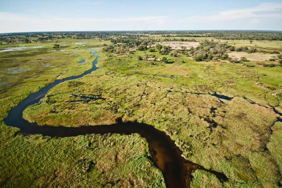 Okavango Delta Helicopter Safari Marc Stickler
