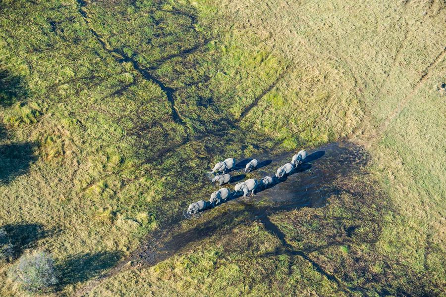 Photosafari Marc Stickler Okavango Delta Botswana Belmond
