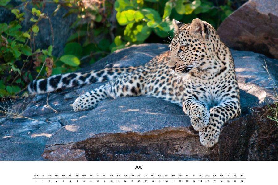 calendar, wildlife, support, nature