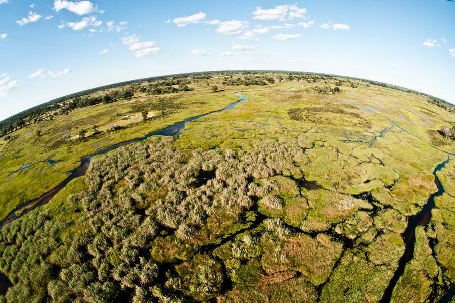Okavango Delta Helicopter Safari Marc Stickler