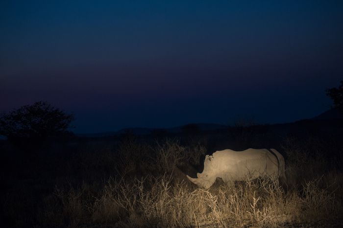 Conservation Photography Nature Marc Stickler