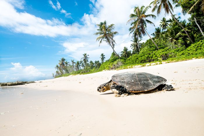 Conservation Photography Nature Marc Stickler