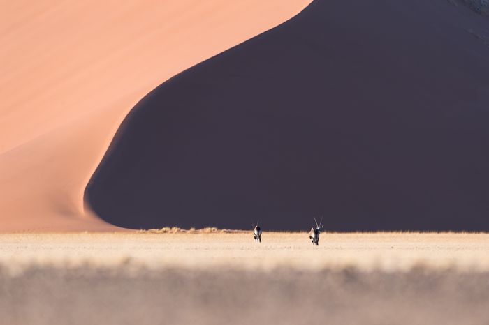 Namibia Photosafari Marc Stickler Leica
