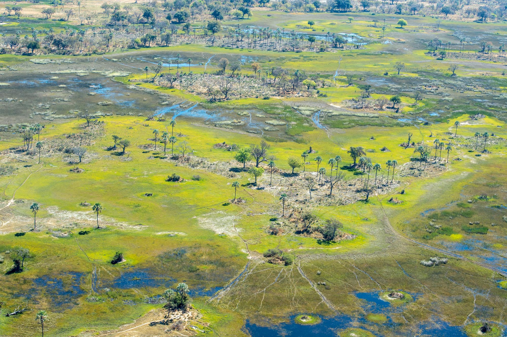 Landscape Photography Marc Stickler Nature Botswana