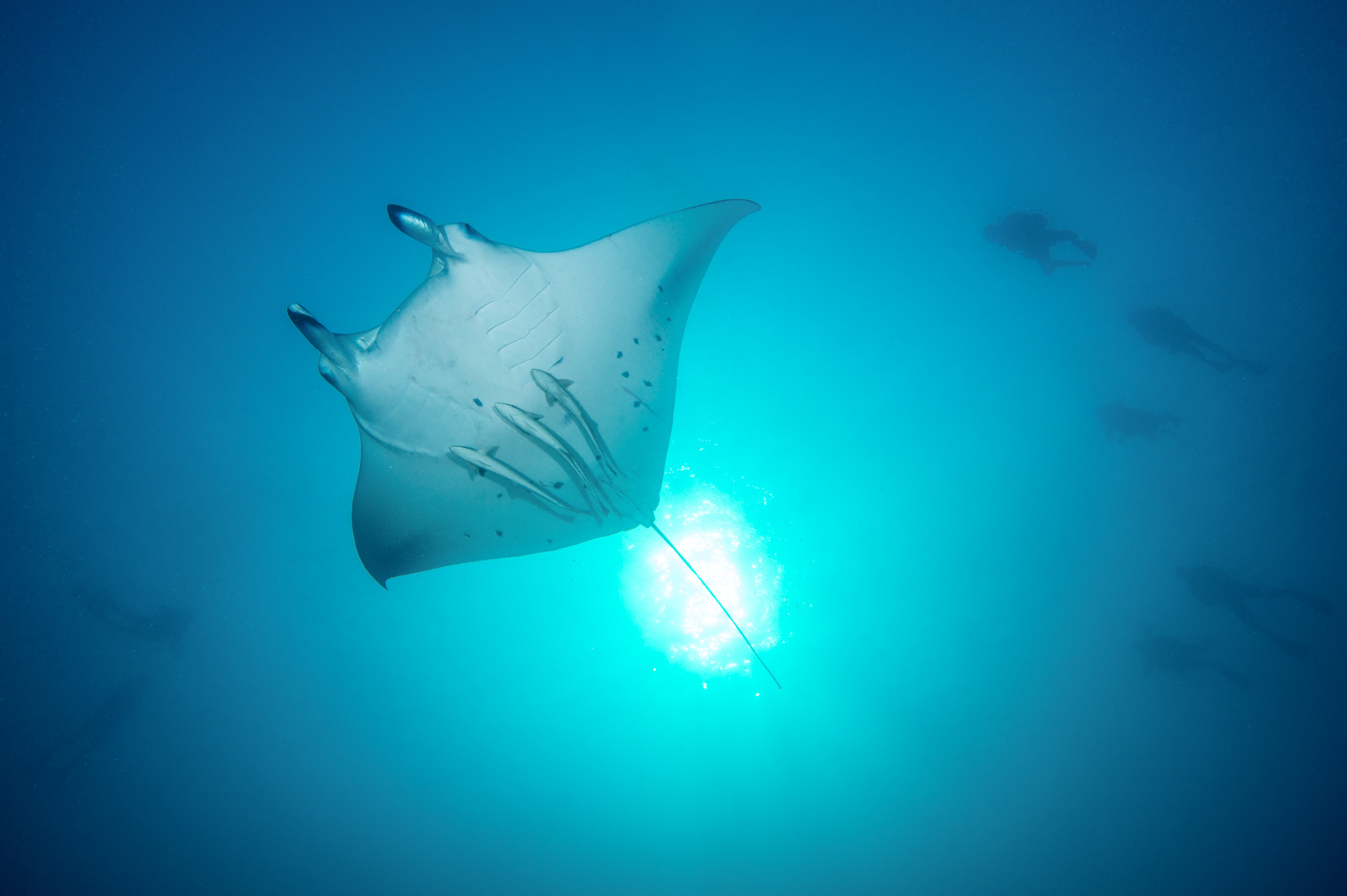Underwater Photography Seacam Marc Stickler Maldives