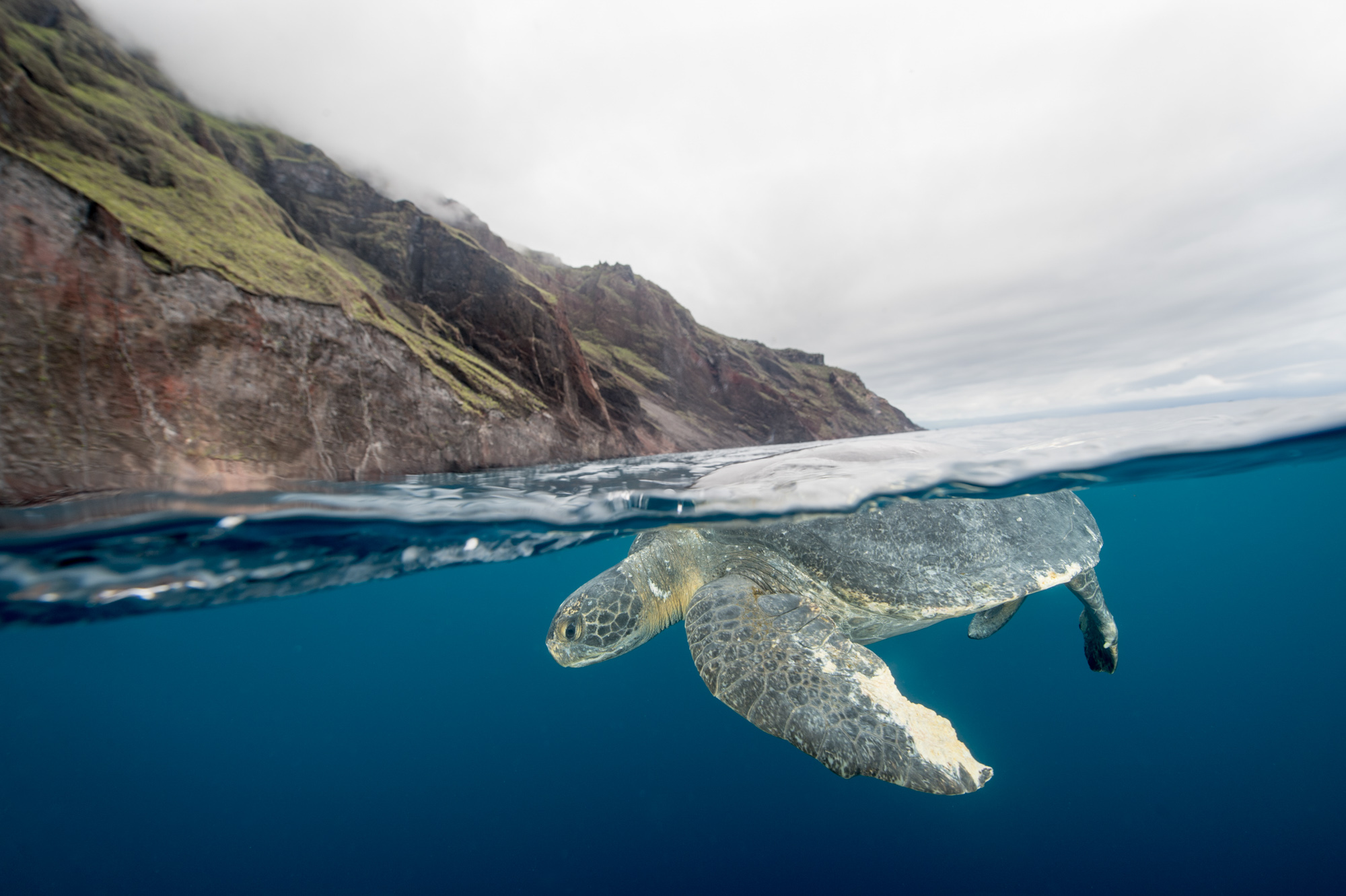 Photography Galappagos Underwater Marc Stickler