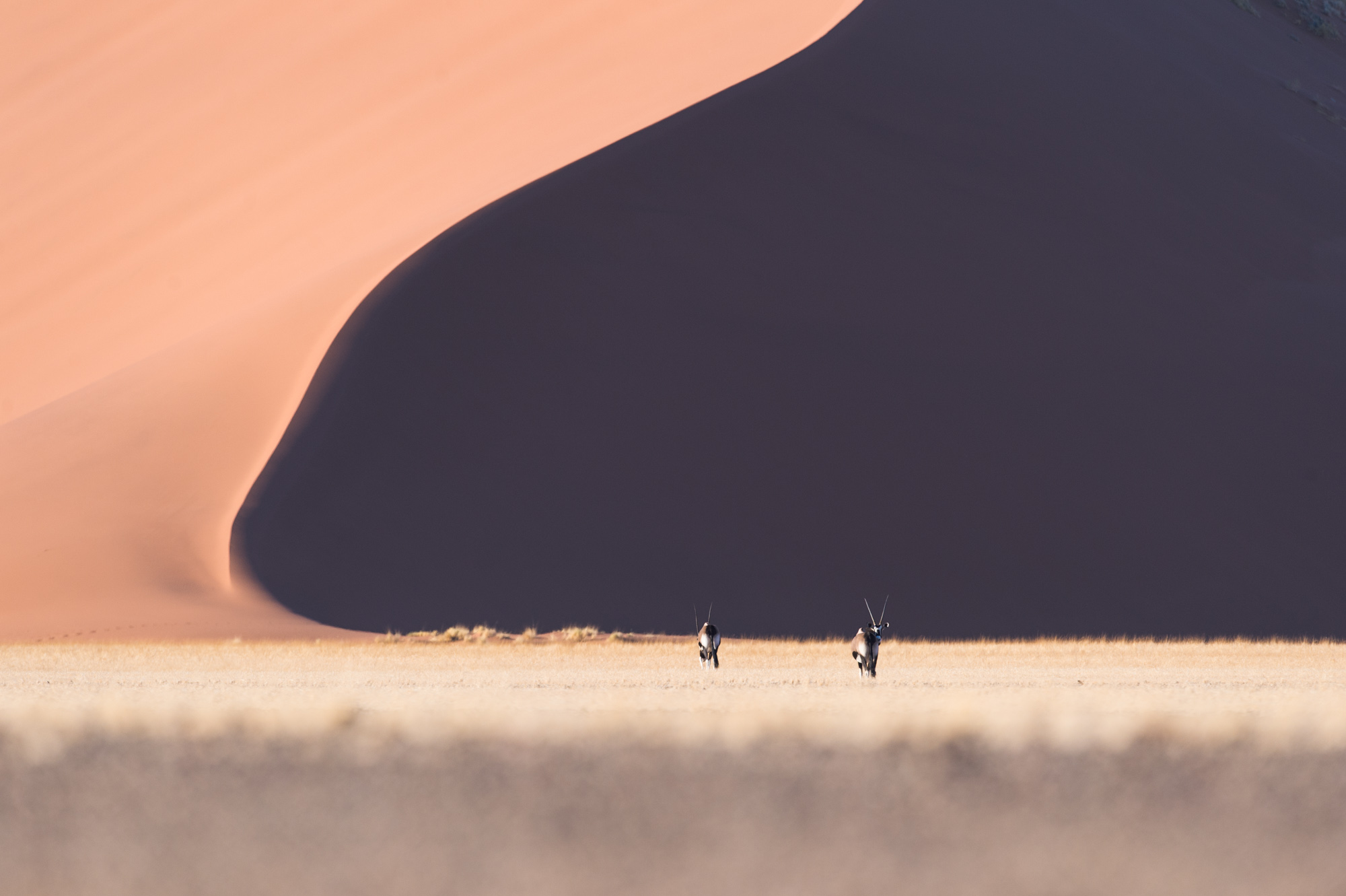 Namibia Photosafari Marc Stickler Leica
