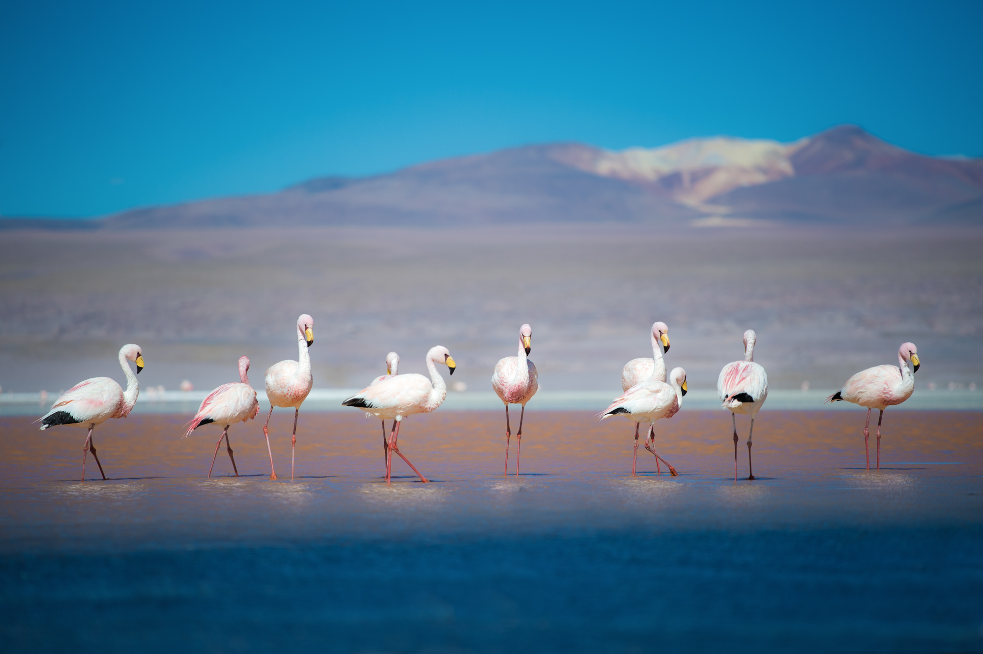 Bolivia Salar de Uyuni Andes Photography Travel Marc Stickler