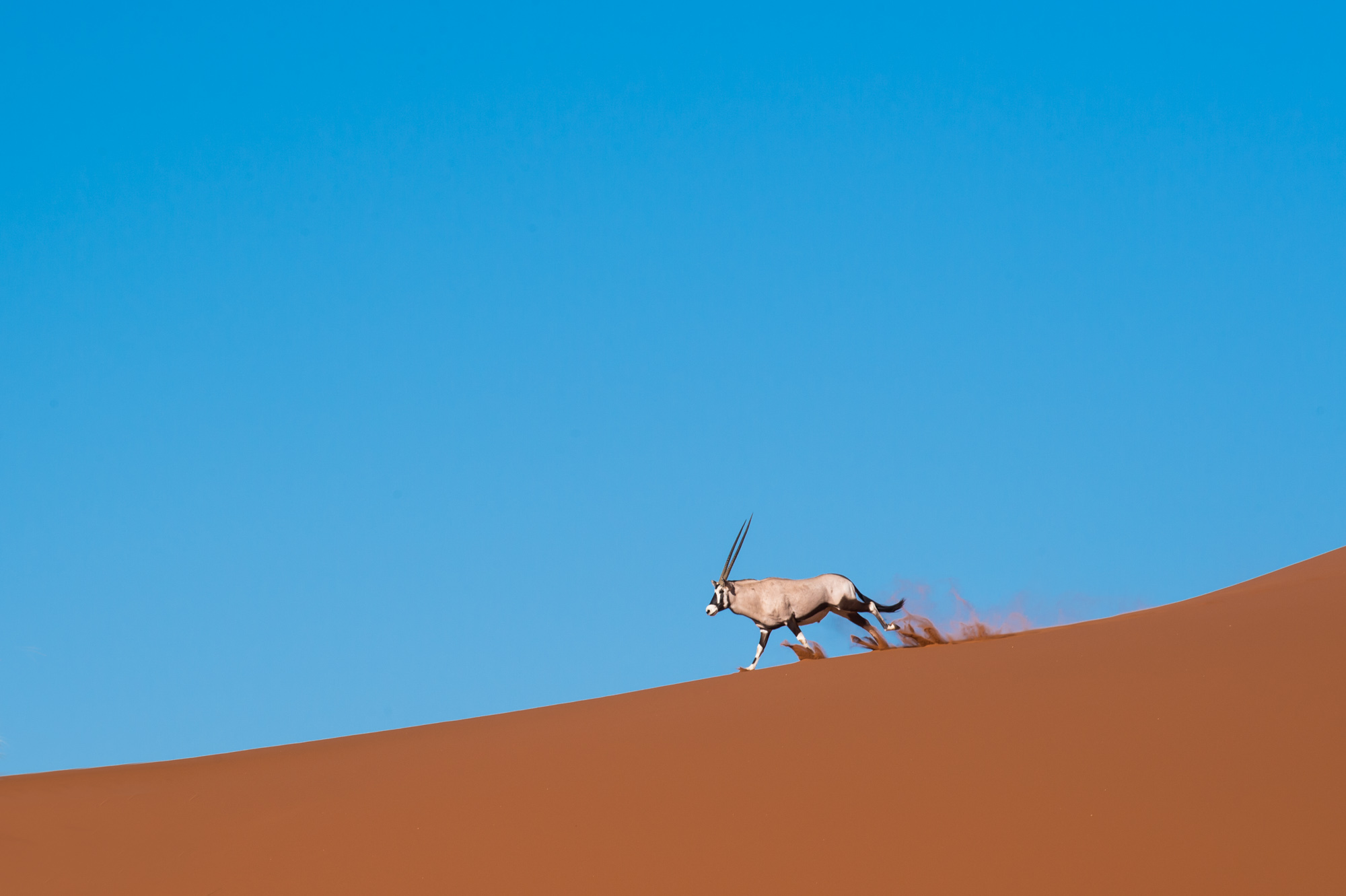 Namibia Photography Photosafari Marc Stickler Wildlife